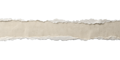 Torn Paper Strip Illustration
