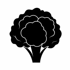 Cauliflowe silhouette icon on white background