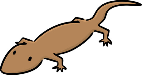 Illustration of lizard
