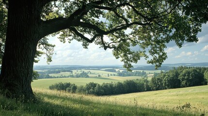 Lush green landscape with a large tree overlooking rolling hills and distant forests on a sunny day