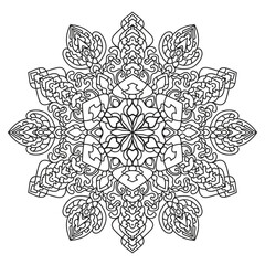 Highly detailed hand drawn mandala vector illustration for adult coloring book, cover and henna design