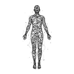 Abstract Geometric Wireframe of a Human Figure on a Clean White Background..