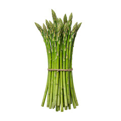 Isolated bundle of fresh bright green asparagus tied together