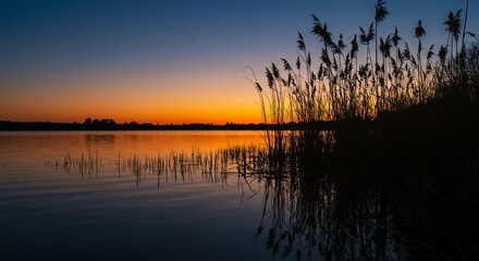Obraz premium Sunset Over Lake with Reeds