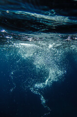 bubbles, bubble, water, underwater, sea, air, deep, undersea, under, background, wave, liquid,...