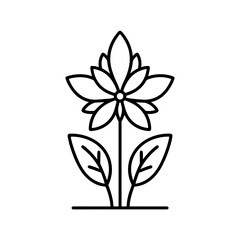 Mexican Nochebuena flower illustration in minimalist style  