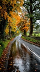 Obraz premium Autumnal Road in Rain