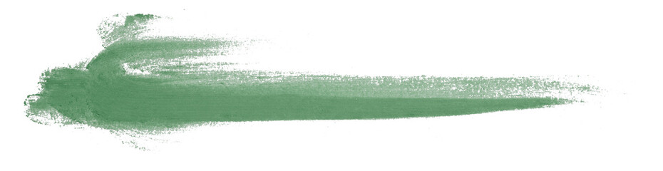 green brush isolated on transparent background