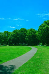 ランニングコース　緑の公園