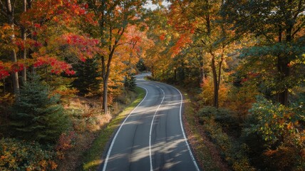 Obraz premium Winding Asphalt Road Through Vibrant Autumn Foliage in a Serene Wooded Area