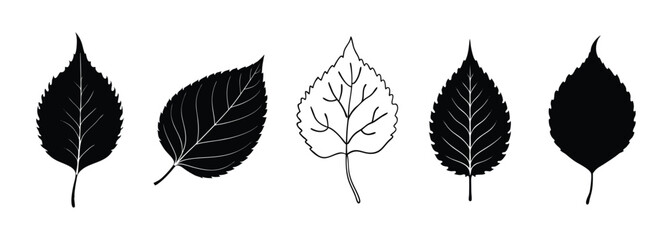 Obraz premium leaf icon, birch leaf silhouette.