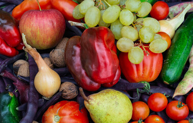 organic fruit and vegetables picked in the fields