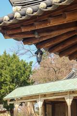 한옥 처마 등불