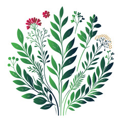 A trendy botanical vector on a white background