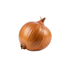 A single, whole, fresh onion with a smooth, brown skin and a small stem at the top.