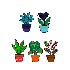 Exotic plants pack 3 (Blue Star Fern, Bat Flower, Bird's Nest Fern, Anthurium clarinervium, mimosa pudica)