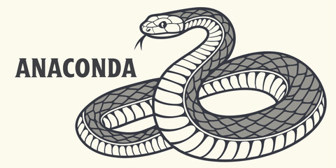Anaconda Snake Vector Illustration, Coiled Reptile, Wildlife Animal Graphic, Exotic Serpent Drawing