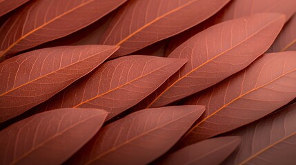 Obraz premium Repeating pattern of reddish leaves with visible veins, evenly spaced apart