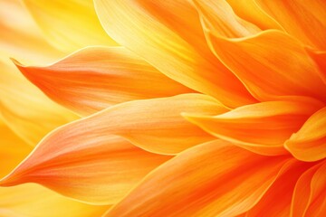 Obraz premium オレンジ色の花びらが重なり合い、明るい色合いで満ちた瞬間を楽しむ。