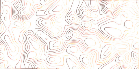 Topographic canyon geometric map relief texture with curved layers and shadow. abstract White background with a beautiful pattern, Topographic contour lines vector map seamless pattern vector.