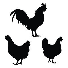 Rooster and Hen Silhouette Vector – Minimalist Farm Chicken Illustration in Side View