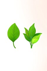  A vibrant green leaf with intricate veins