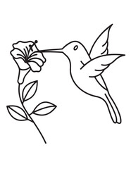 Cute Bird, Cute Animal Coloring Pages, Coloring book, Animals, victor, animals line art, illustration, black & white Designs