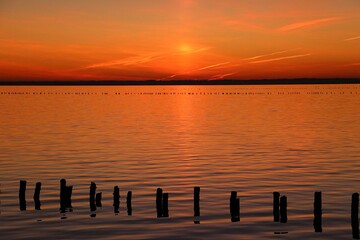 Fototapeta premium colorful sunrise over the sea at the fjord