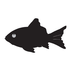 fish vector illustration