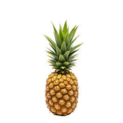 Fototapeta premium A fresh pineapple with a vibrant green crown and a golden-brown body, perfect for tropical-themed designs.