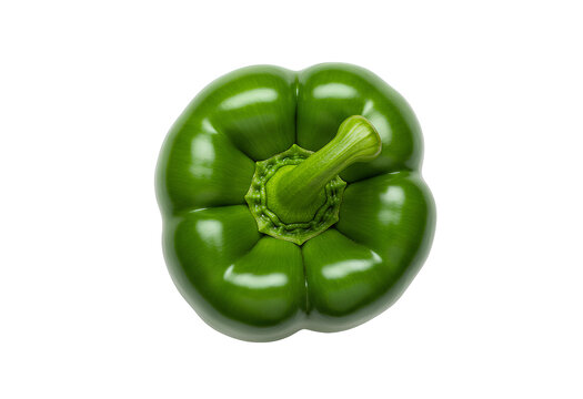 green bell pepper top view png. bell pepper flat lay png. organic and healthy green bell pepper isolated. bell pepper full of water and vitamins for healthy vegan vegetarian summertime eating isolated