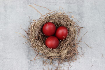 Vogelnest mit Eiern.