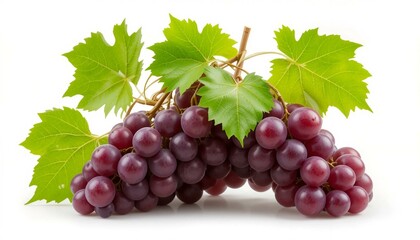 Obraz premium bunch of red grapes