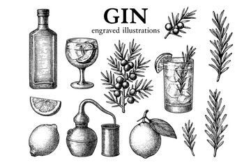 Exploring vintage gin illustrations showcasing botanicals, distillation, and refreshing cocktails in a timeless craft