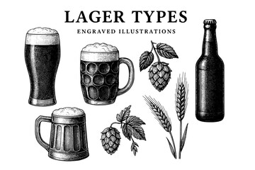 Exploring the diverse world of lager varieties through intricate engravings showcasing hops and barley
