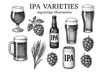 Explore the diverse world of IPA varieties with intricate engravings showcasing hops, barley, and crafted beers