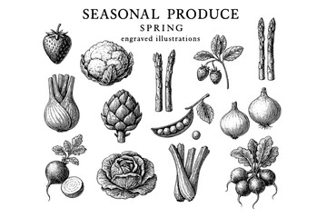 Colorful seasonal produce illustrations capturing the essence of spring with fresh fruits and vegetables arranged artistically