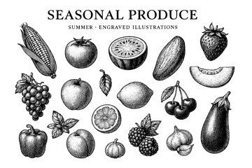 Engraved illustrations of seasonal produce showcasing summer fruits and vegetables in a delightful arrangement