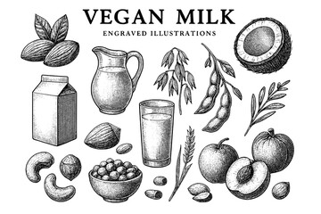 Discovering the art of vegan milk through engraved illustrations showcasing diverse ingredients and flavors