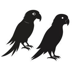 silhouettes amazon parrots single birds illustrato file