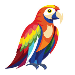 color amazon parrots single birds illustrato file