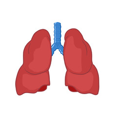Illustration of human lung organs, can be used as learning media and medical or non-medical banner illustrations