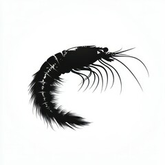 Detailed silhouette of a shrimp showcasing the delicate features and intricate details of its anatomy against a clean background