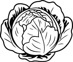 Cabbages vector art