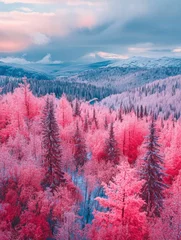 Fototapeten Dreamlike winter landscape: Rosy frosted trees under a pastel sky, mountain backdrop © nahwul