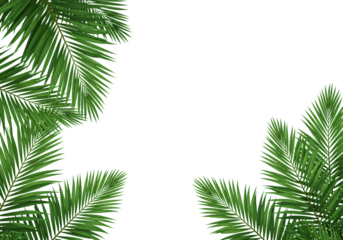 Green tropical palm leaves clustered in the bottom left corner on a white background for summer or vacation themes.

