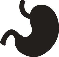 Stomach vector art