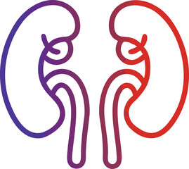 Kidney vector art