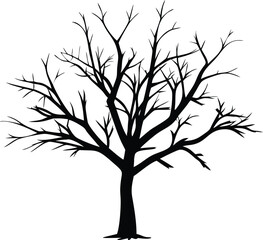 Obraz premium Dead tree silhouette