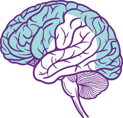 Brain vector art 